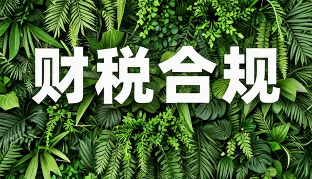 财税咨询选型中适用条件的识别与实践