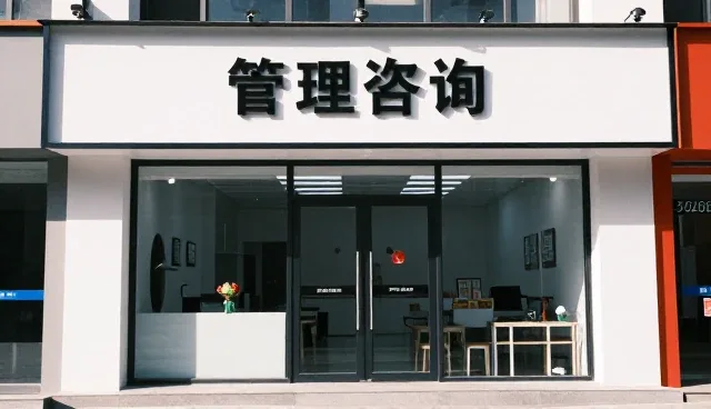 商务决策中财税咨询的常见问题与应对策略